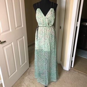 Teal animal print maxi dress.